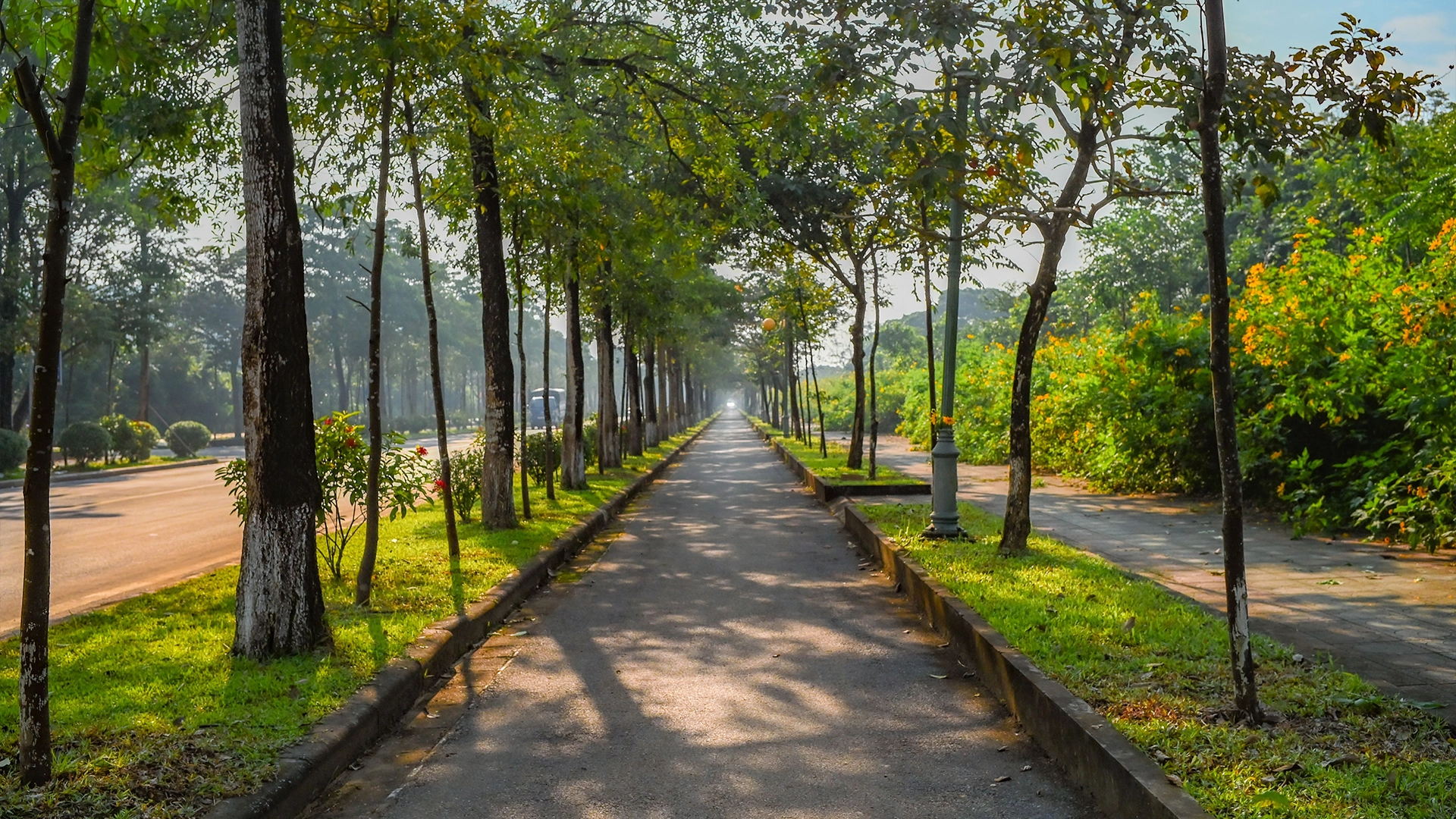 Green landscaped belts along the roads